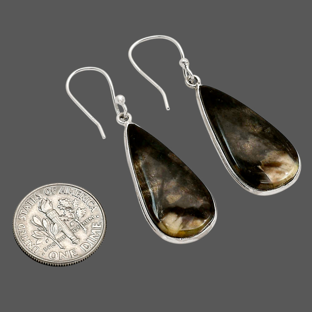 Natural Root Plume Agate Earrings
